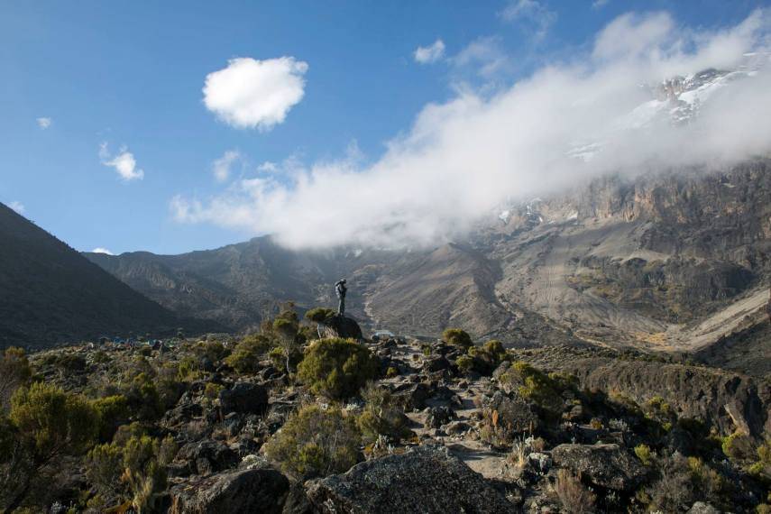 1274907_10153194104515284_400705702_o