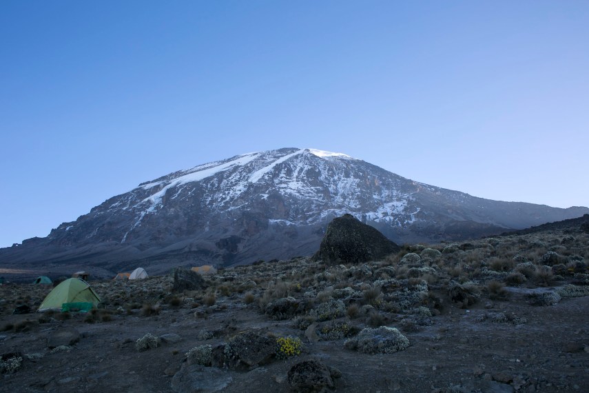 Kilimanjaro