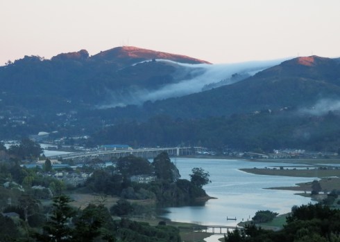 Mt. Tamalpais, Marin County