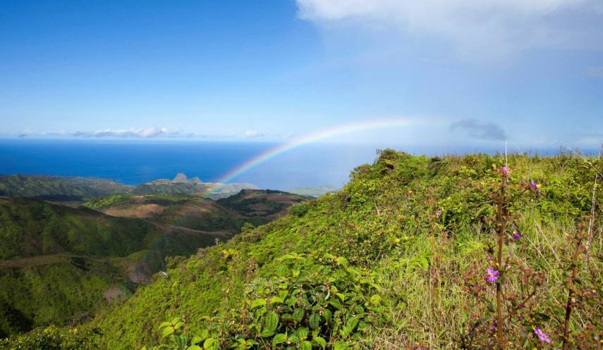 10380678_10154843879265284_1367866460834605231_o (1)